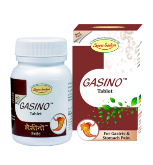 Gasino Tablet 60 tab
