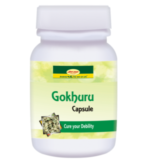 Gokhuru Capsule 60 cap