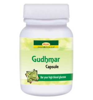 Gudhmar Capsule 60 cap