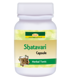 Shatavari Capsule 60 cap