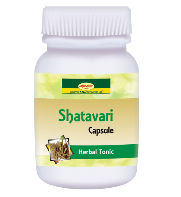 Shatavari Capsule 60 cap
