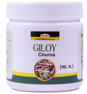 Giloy Churna 100 g