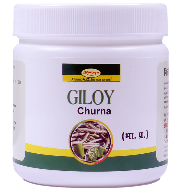 Giloy Churna 100 g