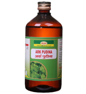 Ark Pudina 450 ml