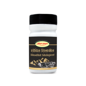 SHODHIT SHILAJIT