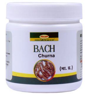 BACH CHURNA