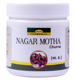 NAGAR MOTHA CHURNA